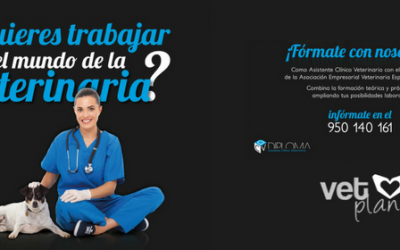 ¿Te gustaría formarte auxiliar veterinario? ¡Te contamos cómo!