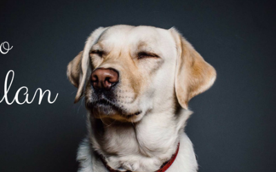 ¡Únete a nosotros y recibe un pack de regalo!