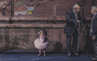 Cuidados para un perro adulto